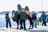 Пришпорили коней. В Верхнеуральске прошли традиционные соревнования среди наездников